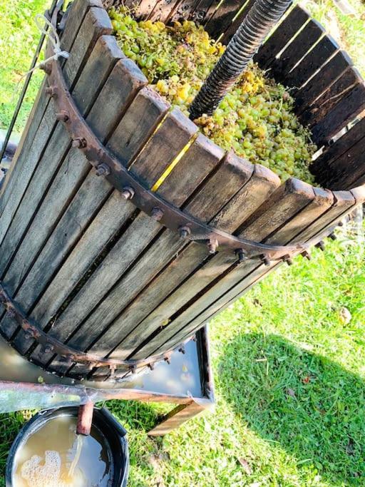 La-Marti, Idyllische Unterkunft Mit Kamin Bagdati Extérieur photo